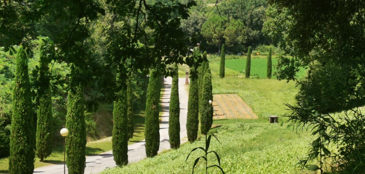 Agriturismo Cascina Cipressa San Romano  Eksteriør bilde