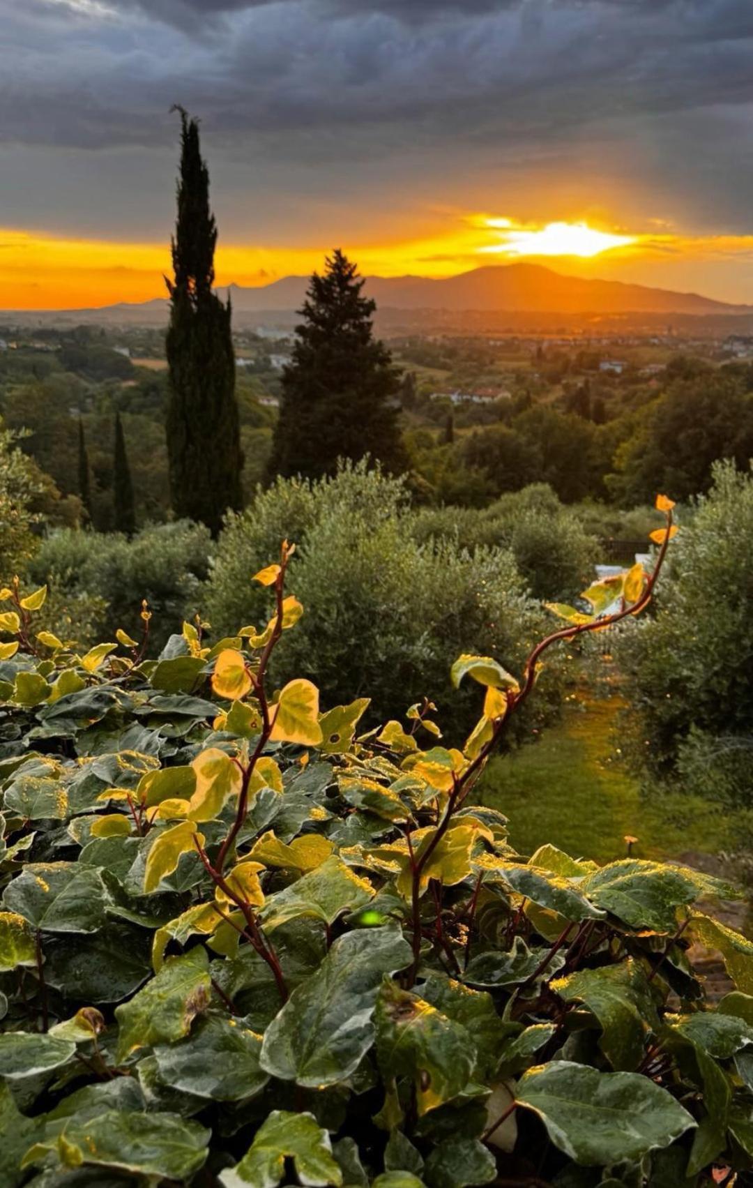 Agriturismo Cascina Cipressa San Romano  Eksteriør bilde