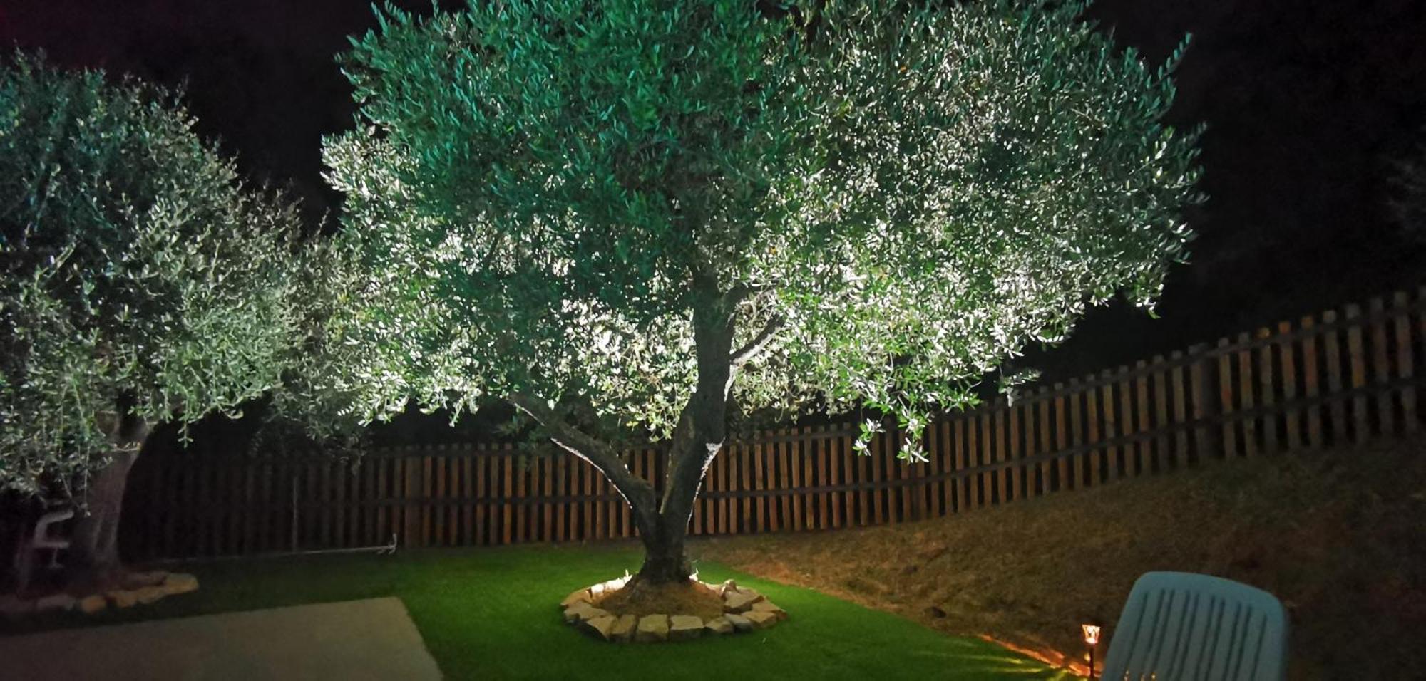 Agriturismo Cascina Cipressa San Romano  Eksteriør bilde