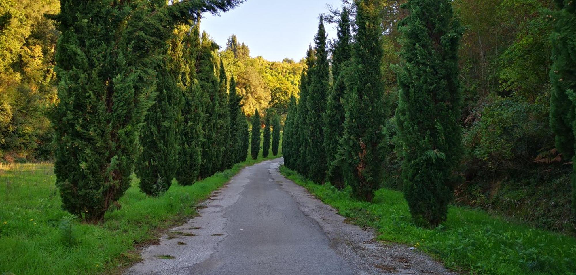 Agriturismo Cascina Cipressa San Romano  Eksteriør bilde